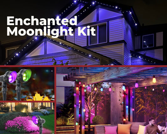 Enchanted Moonlight Kit - 100